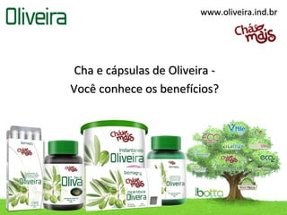 www.oliveira.ind.br




 Cha e cápsulas de Oliveira -
Você conhece os benefícios?
 