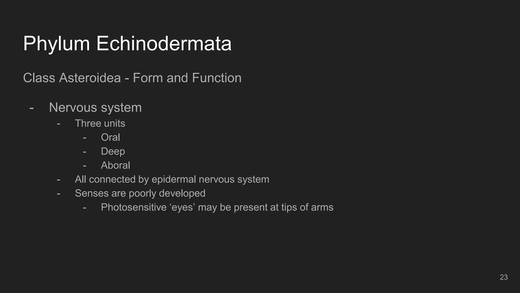 Phylum Echinodermata
Class Asteroidea - Form and Function
- Nervous system
- Three units
- Oral
- Deep
- Aboral
- All connected by epidermal nervous system
- Senses are poorly developed
- Photosensitive ‘eyes’ may be present at tips of arms
23
 