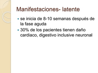 Manifestaciones- latente
 se inicia de 8-10 semanas después de
la fase aguda
 30% de los pacientes tienen daño
cardiaco, digestivo inclusive neuronal
 