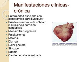 Manifestaciones clínicas-
crónica
 Enfermedad asociada con
compromiso cardiovascular
 Puede ocurrir muerte súbita o
insuficiencia cardiaca
congestiva
 Miocarditis progresiva
 Palpitaciones
 Mareos
 Diarrea
 Dolor pectoral
 Sincope
 Edema
 Cardiomegalia acentuada
 