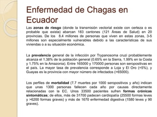 Enfermedad de Chagas en
Ecuador
Las zonas de riesgo (donde la transmisión vectorial existe con certeza o es
probable que exista) abarcan 183 cantones (121 Áreas de Salud) en 20
provincias. De los 8.4 millones de personas que viven en estas zonas, 3-5
millones son especialmente vulnerables debido a las características de sus
viviendas o a su situación económica.
La prevalencia general de la infección por Trypanosoma cruzi probablemente
alcanza el 1.38% de la población general (0.65% en la Sierra, 1.99% en la Costa
y 1.75% en la Amazonia). Entre 165000 y 170000 personas son seropositivas en
el país. La mayor tasa de prevalencia corresponde a Loja y El Oro (=5%), y
Guayas es la provincia con mayor número de infectados (>65000).
Los perfiles de mortalidad (7.7 muertes por 1000 seropositivos y año) indican
que unas 1300 personas fallecen cada año por causas directamente
relacionadas con la EC. Unos 33500 pacientes sufren formas crónicas
sintomáticas; de ellos, más de 31700 padecen cardiopatía (25500 formas leves
y >6200 formas graves) y más de 1670 enfermedad digestiva (1580 leves y 90
graves).
 