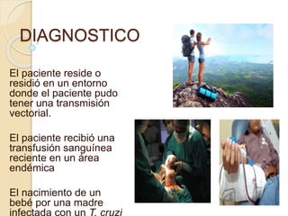 DIAGNOSTICO
El paciente reside o
residió en un entorno
donde el paciente pudo
tener una transmisión
vectorial.
El paciente recibió una
transfusión sanguínea
reciente en un área
endémica
El nacimiento de un
bebé por una madre
 