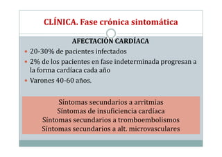 CLÍNICA. Fase crónica sintomática

              AFECTACIÓN CARDÍACA
20-30% de pacientes infectados
2% de los pacientes en fase indeterminada progresan a
la forma cardíaca cada año
Varones 40-60 años.


        Síntomas secundarios a arritmias
        Síntomas de insuficiencia cardíaca
   Síntomas secundarios a tromboembolismos
   Síntomas secundarios a alt. microvasculares
 