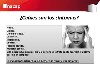 ¿Cuáles son los síntomas? 
Fiebre. 
Diarrea. 
Dolor de cabeza. 
Cansancio. 
Irritabilidad. 
Vómitos. 
Falta de apetito. 
Malestar general. 
Si la picadura fue cerca del ojo y la persona se lo frota puede aparecer el síntoma 
del “ojo en compota”. 
Es importante aclarar que no siempre se manifiestan síntomas. 
 