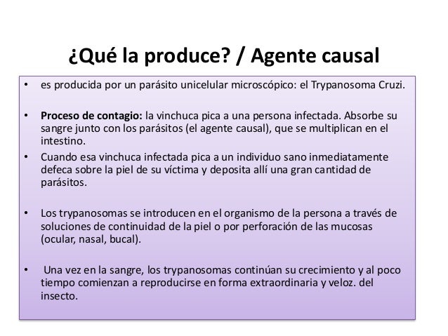 La forma vegetativa del parásito