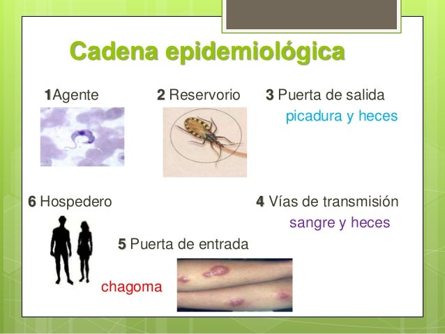 Chagas