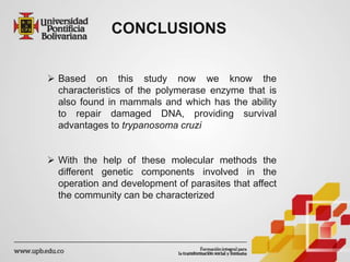 CONCLUSIONS
 Based on this study now we know the
characteristics of the polymerase enzyme that is
also found in mammals and which has the ability
to repair damaged DNA, providing survival
advantages to trypanosoma cruzi
 With the help of these molecular methods the
different genetic components involved in the
operation and development of parasites that affect
the community can be characterized
 