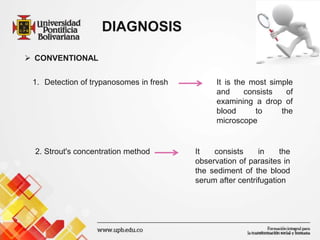DIAGNOSIS
 CONVENTIONAL
1. Detection of trypanosomes in fresh It is the most simple
and consists of
examining a drop of
blood to the
microscope
2. Strout's concentration method It consists in the
observation of parasites in
the sediment of the blood
serum after centrifugation
 