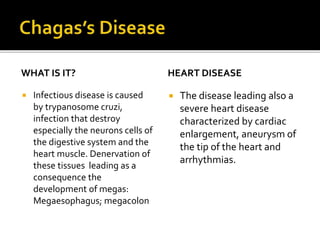 WHAT IS IT?
 Infectious disease is caused
by trypanosome cruzi,
infection that destroy
especially the neurons cells of
the digestive system and the
heart muscle. Denervation of
these tissues leading as a
consequence the
development of megas:
Megaesophagus; megacolon
HEART DISEASE
 The disease leading also a
severe heart disease
characterized by cardiac
enlargement, aneurysm of
the tip of the heart and
arrhythmias.
 