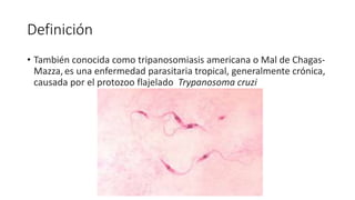 Definición
• También conocida como tripanosomiasis americana o Mal de Chagas-
Mazza,es una enfermedad parasitaria tropical, generalmente crónica,
causada por el protozoo flajelado Trypanosoma cruzi
 