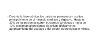 • Durante la fase crónica, los parásitos permanecen ocultos
principalmente en el músculo cardiaco y digestivo. Hasta un
30% de los pacientes sufren trastornos cardiacos y hasta un
10% presentan alteraciones digestivas (típicamente,
agrandamiento del esófago o del colon), neurológicas o mixtas.
 