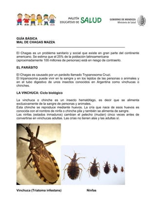 Vinchuca Insecto APS - Chagas | PDF