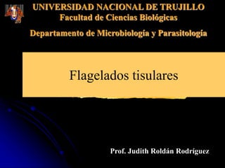 UNIVERSIDAD NACIONAL DE TRUJILLO
Facultad de Ciencias Biológicas
Departamento de Microbiología y Parasitología
Prof. Judith Roldán Rodríguez
Flagelados tisulares
 