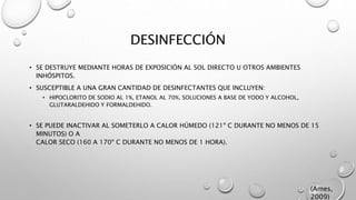 DESINFECCIÓN
• SE DESTRUYE MEDIANTE HORAS DE EXPOSICIÓN AL SOL DIRECTO U OTROS AMBIENTES
INHÓSPITOS.
• SUSCEPTIBLE A UNA GRAN CANTIDAD DE DESINFECTANTES QUE INCLUYEN:
• HIPOCLORITO DE SODIO AL 1%, ETANOL AL 70%, SOLUCIONES A BASE DE YODO Y ALCOHOL,
GLUTARALDEHIDO Y FORMALDEHIDO.
• SE PUEDE INACTIVAR AL SOMETERLO A CALOR HÚMEDO (121º C DURANTE NO MENOS DE 15
MINUTOS) O A
CALOR SECO (160 A 170º C DURANTE NO MENOS DE 1 HORA).
(Ames,
2009)
 