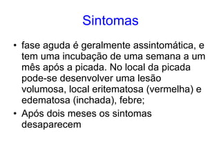 Sintomas fase aguda é geralmente assintomática, e tem uma incubação de uma semana a um mês após a picada. No local da picada pode-se desenvolver uma lesão volumosa, local eritematosa (vermelha) e edematosa (inchada), febre;  Após dois meses os sintomas desaparecem 