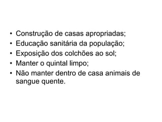 Construção de casas apropriadas; Educação sanitária da população; Exposição dos colchões ao sol; Manter o quintal limpo; Não manter dentro de casa animais de sangue quente. 
