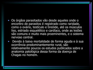 Os órgãos parasitados vão desde aqueles onde o encontro de parasitos é registrado como raridade, como o ovário, testículo e tireóide, até os músculos liso, estriado esquelético e cardíaco, onde as lesões são comuns e muito mais proeminentes, e o sistema nervoso central. Devido à baixa mortalidade de forma aguda e à sua ocorrência predominantemente rural, são relativamente poucos os estudos publicados sobre a anatomia patológica dessa forma da doença de Chagas no homem. 