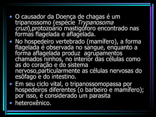 O causador da Doença de chagas é um tripanossomo (espécie  Trypanosoma cruzi ),protozoário mastigóforo encontrado nas formas flagelada e aflagelada.  No hospedeiro vertebrado (mamífero), a forma flagelada é observada no sangue, enquanto a forma aflagelada produz  agrupamentos chamados ninhos, no interior das células como as do coração e do sistema nervoso,particularmente as células nervosas do esôfago e do intestino.  Em seu ciclo vital, o tripanossomopassa por hospedeiros diferentes (o barbeiro e mamífero); por isso, é considerado um parasita heteroxênico. 