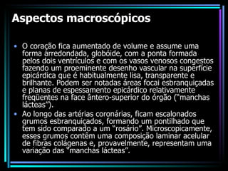 Aspectos macroscópicos O coração fica aumentado de volume e assume uma forma arredondada, globóide, com a ponta formada pelos dois ventrículos e com os vasos venosos congestos fazendo um proeminente desenho vascular na superfície epicárdica que é habitualmente lisa, transparente e brilhante. Podem ser notadas áreas focai esbranquiçadas e planas de espessamento epicárdico relativamente freqüentes na face ântero-superior do órgão (“manchas lácteas”).  Ao longo das artérias coronárias, ficam escalonados grumos esbranquiçados, formando um pontilhado que tem sido comparado a um “rosário”. Microscopicamente, esses grumos contêm uma composição laminar acelular de fibras colágenas e, provavelmente, representam uma variação das “manchas lácteas”. 