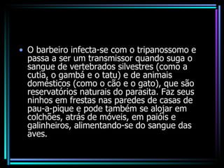 O barbeiro infecta-se com o tripanossomo e passa a ser um transmissor quando suga o sangue de vertebrados silvestres (como a cutia, o gambá e o tatu) e de animais domésticos (como o cão e o gato), que são reservatórios naturais do parasita. Faz seus ninhos em frestas nas paredes de casas de pau-a-pique e pode também se alojar em colchões, atrás de móveis, em paióis e galinheiros, alimentando-se do sangue das aves. 