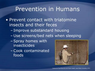 Chagas- New world Trypanosomiasis, epidemiology.ppt
