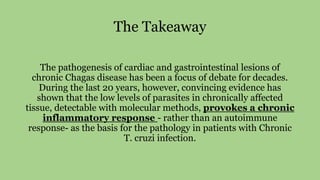 The Takeaway
The pathogenesis of cardiac and gastrointestinal lesions of
chronic Chagas disease has been a focus of debate for decades.
During the last 20 years, however, convincing evidence has
shown that the low levels of parasites in chronically affected
tissue, detectable with molecular methods, provokes a chronic
inflammatory response - rather than an autoimmune
response- as the basis for the pathology in patients with Chronic
T. cruzi infection.
 