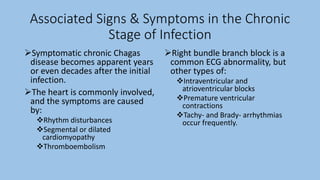 Associated Signs & Symptoms in the Chronic
Stage of Infection
Symptomatic chronic Chagas
disease becomes apparent years
or even decades after the initial
infection.
The heart is commonly involved,
and the symptoms are caused
by:
Rhythm disturbances
Segmental or dilated
cardiomyopathy
Thromboembolism
Right bundle branch block is a
common ECG abnormality, but
other types of:
Intraventricular and
atrioventricular blocks
Premature ventricular
contractions
Tachy- and Brady- arrhythmias
occur frequently.
 