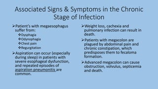 Associated Signs & Symptoms in the Chronic
Stage of Infection
Patient’s with megaesophagus
suffer from:
Dysphagia
Odynophagia
Chest pain
Regurgitation
Aspiration can occur (especially
during sleep) in patients with
severe esophageal dysfunction,
and repeated episodes of
aspiration pneumonitis are
common.
Weight loss, cachexia and
pulmonary infection can result in
death.
Patients with megacolon are
plagued by abdominal pain and
chronic constipation, which
predisposes them to fecaloma
formation.
Advanced megacolon can cause
obstruction, volvulus, septicemia
and death.
 