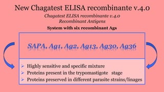 New Chagatest ELISA recombinante v.4.0
Chagatest ELISA recombinante v.4.0
Recombinant Antigens
System with six recombinant Ags
 Highly sensitive and specific mixture
 Proteins present in the trypomastigote stage
 Proteins preserved in different parasite strains/linages
 