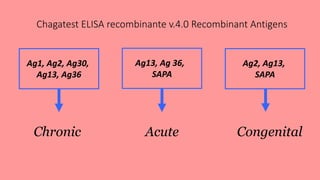 Chagatest ELISA recombinante v.4.0 Recombinant Antigens
Ag1, Ag2, Ag30,
Ag13, Ag36
Ag2, Ag13,
SAPA
Ag13, Ag 36,
SAPA
Chronic CongenitalAcute
 