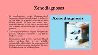 Xenodiagnoses
• In xenodiagnoses, 30-40 laboratory-reared
insects are allowed to feed directly or indirectly
on the blood of a person suspected to have
Chagas disease. At least one month later,
intestinal contents of the insects are extracted
and examined microscopically for the presence of
parasites.
• Xenodiagnoses is tedious, requires a long time to
perform, and yields a sensitivity of only 50% in
the best of hands.
• Hemoculture, which involves a specialized liquid
culture medium that is not available
commercially, takes roughly the same amount of
time as xenodiagnoses and has roughly the same
level of sensitivity, but it is less tedious.
 