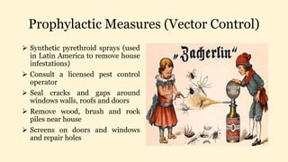 Prophylactic Measures (Vector Control)
 Synthetic pyrethroid sprays (used
in Latin America to remove house
infestations)
 Consult a licensed pest control
operator
 Seal cracks and gaps around
windows walls, roofs and doors
 Remove wood, brush and rock
piles near house
 Screens on doors and windows
and repair holes
 
