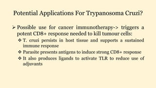 Potential Applications For Trypanosoma Cruzi?
 Possible use for cancer immunotherapy-> triggers a
potent CD8+ response needed to kill tumour cells:
 T. cruzi persists in host tissue and supports a sustained
immune response
 Parasite presents antigens to induce strong CD8+ response
 It also produces ligands to activate TLR to reduce use of
adjuvants
 