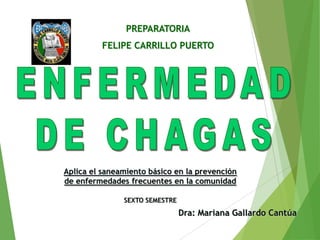 PREPARATORIA
FELIPE CARRILLO PUERTO
Dra: Mariana Gallardo Cantúa
Aplica el saneamiento básico en la prevención
de enfermedades frecuentes en la comunidad
SEXTO SEMESTRE
 