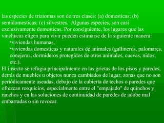 las especies de triatomas son de tres clases: (a) domesticas; (b)
semidomesticas; (c) silvestres. Algunas especies, son casi
exclusivamente domesticas. Por consiguiente, los lugares que las
vinchucas eligen para vivir pueden estimarse de la siguiente manera:
•viviendas humanas,
•viviendas domesticas y naturales de animales (gallineros, palomares,
conejeras, dormideros protegidos de otros animales, cuevas, nidos,
etc.).
El insecto se refugia principalmente en las grietas de los pisos y paredes,
detrás de muebles u objetos nunca cambiados de lugar, zonas que no son
periódicamente aseadas, debajo de la cubierta de techos o paredes que
ofrezcan resquicios, especialmente entre el "empajado" de quinchos y
ranchos y en las soluciones de continuidad de paredes de adobe mal
embarradas o sin revocar.
 