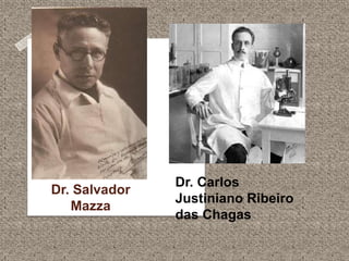 Dr. Salvador
Mazza
Dr. Carlos
Justiniano Ribeiro
das Chagas
 