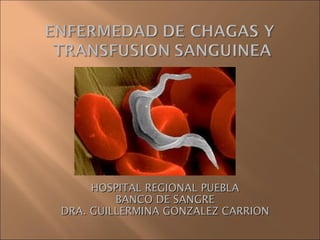 HOSPITAL REGIONAL PUEBLA
         BANCO DE SANGRE
DRA. GUILLERMINA GONZALEZ CARRION
 