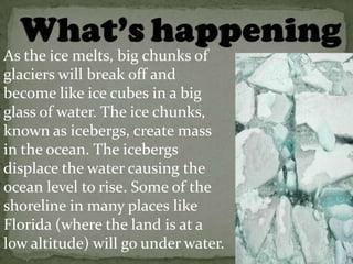 As the ice melts, big chunks of
glaciers will break off and
become like ice cubes in a big
glass of water. The ice chunks,
known as icebergs, create mass
in the ocean. The icebergs
displace the water causing the
ocean level to rise. Some of the
shoreline in many places like
Florida (where the land is at a
low altitude) will go under water.
 