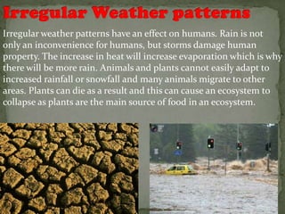 Irregular weather patterns have an effect on humans. Rain is not
only an inconvenience for humans, but storms damage human
property. The increase in heat will increase evaporation which is why
there will be more rain. Animals and plants cannot easily adapt to
increased rainfall or snowfall and many animals migrate to other
areas. Plants can die as a result and this can cause an ecosystem to
collapse as plants are the main source of food in an ecosystem.
 