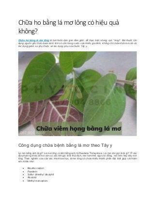 Chữa Ho Bằng Lá Mơ - Phương Pháp Hiệu Quả và Lợi Ích Tuyệt Vời