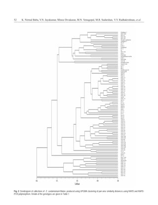 52      K. Nirmal Babu, V.N. Jayakumar, Minoo Divakaran, M.N. Venugopal, M.R. Sudarshan, V.V. Radhakrishnan, et al.




Fig. 2: Dendrogram of collections of E. cardamomum Maton. produced using UPGMA clustering of pair wise similarity distances using RAPD and RAPD-
PCR polymorphism. Details of the genotypes are given in Table 1
 