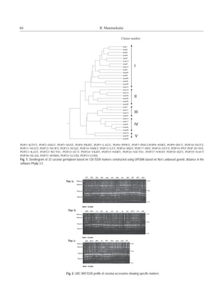66                                                            R. Manimekalai




POP1=KTYT; POP2=SSGT; POP3=SSAT; POP4=PKBT; POP5=LAGT; POP6=PPWT; POP7=PDLT;POP8=SNRT; POP9=MVT; POP10=NUFT;
POP11=NUGT; POP12=NUWT; POP13=NUQT; POP14=NHKT; POP15=LFT; POP16=BSIT; POP17=JMT; POP18=STVT; POP19=PNT POP 20=NIT;
POP21=KAIT; POP22=WCT01; POP23=ECT; POP24=VKBT; POP25=NDRT; POP26=NICT01; POP27=NWHT POP28=HZT; POP29=NAVT
POP30=NLAD; POP31=RTB04; POP32=LCOD; POP33=COD)
Fig. 1: Dendrogram of 33 coconut germplasm based on 120 ISSR markers constructed using UPGMA based on Nei’s unbiased genetic distance in the
software Phylip 3.5




                                   Fig. 2: UBC 889 ISSR profile of coconut accessions showing specific markers
 
