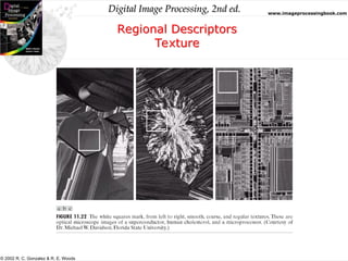 chain codes for Digital Image processing | PPT