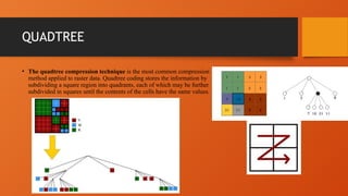 CHAIN CODING & QUADTREE This is advanced | PPTX