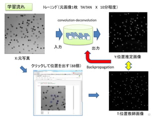 入力 出力
Y:位置推定画像
convolution-deconvolution
学習流れ
T:位置教師画像
クリックして位置を出す（88個）
X:元写真
Backpropagation
12
ﾄﾚｰﾆﾝｸﾞ（元画像1枚 TAITAN X 10分程度）
 