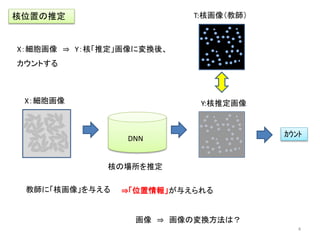 核位置の推定
X：細胞画像 ⇒ Y：核「推定」画像に変換後、
カウントする
核の場所を推定
ｶｳﾝﾄ
DNN
Y:核推定画像
T:核画像（教師）
X：細胞画像
教師に「核画像」を与える
画像 ⇒ 画像の変換方法は？
⇒「位置情報」が与えられる
4
 