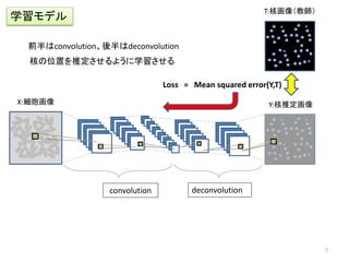 convolution
前半はconvolution、後半はdeconvolution
deconvolution
X:細胞画像 Y:核推定画像
学習モデル
T:核画像（教師）
Loss = Mean squared error(Y,T)
核の位置を推定させるように学習させる
7
 