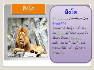 สิงโต
ชื่อวิทยาศาสตร์ Panthera leo
ลักษณะทัวไป
          ่
มีขนาดลาตัวใหญ่ ขนาดไล่เลี่ย
กับเสื อโคร่ งทัวไป (P. tigris) ซึ่ง
                ่
เป็ นสัตว์ในสกุล Panthera
เหมือนกัน จัดเป็ นสัตว์ในวงศ์
Felidae ที่มีขนาดใหญ่ที่สุดรอง
มาจากเสื อ
 
