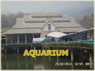 Chaingmai zoo