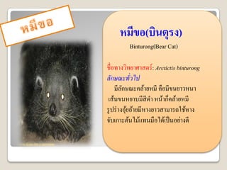 หมีྺอ(บิȨุรง)
         Binturong(Bear Cat)

ชื่อทางวิทยาศาสตร์ : Arctictis binturong
ลักษณะทั่วไป
    มีลกษณะคล้ายหมี คือมีขนยาวหนา
         ั
 เส้นขนหยาบมีสีดา หน้าก็คล้ายหมี
รู ปร่ างอุยอ้ายมีหางยาวสามารถใช้หาง
           ้
จับเกาะต้นไม้แทนมือได้เป็ นอย่างดี
 